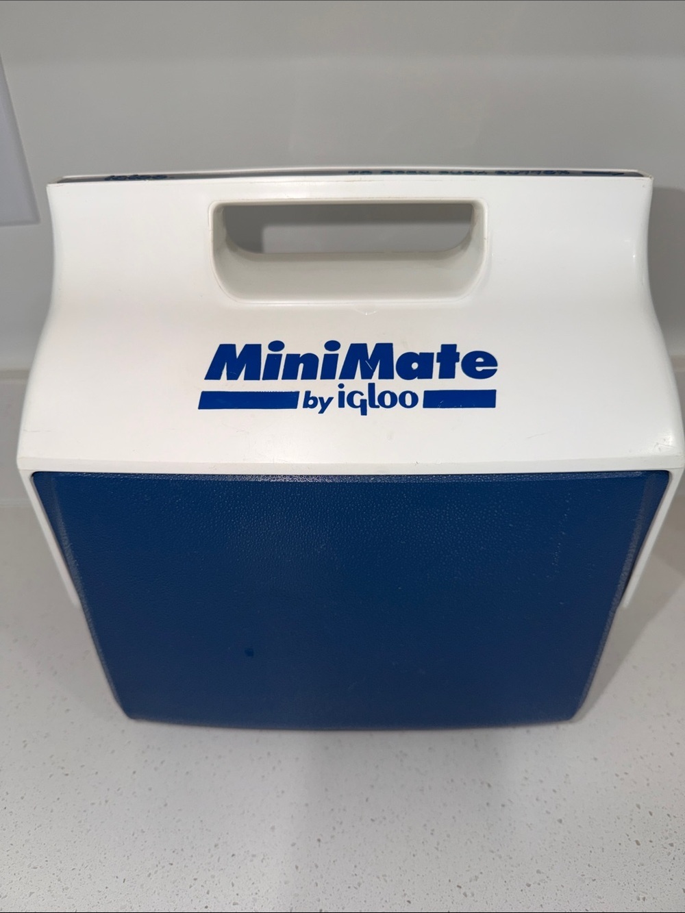 White & Blue blue and white vintage Igloo MiniMate personal cooler, lunch box